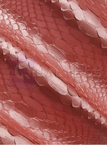 натуральная кожа питона | Цвет: Розовый Fucsia натуральная кожа питона | Цвет: Розовый Fucsia
